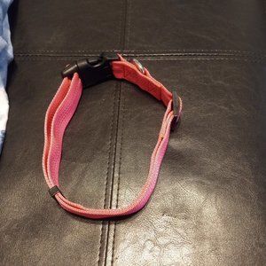 NWOT Dog Collar